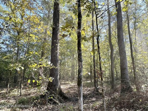 Riverfront Hunting Land