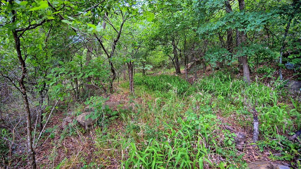 Picture 6