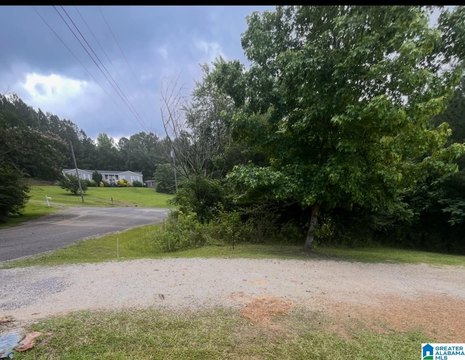 LAND/LOTS, ODENVILLE, AL