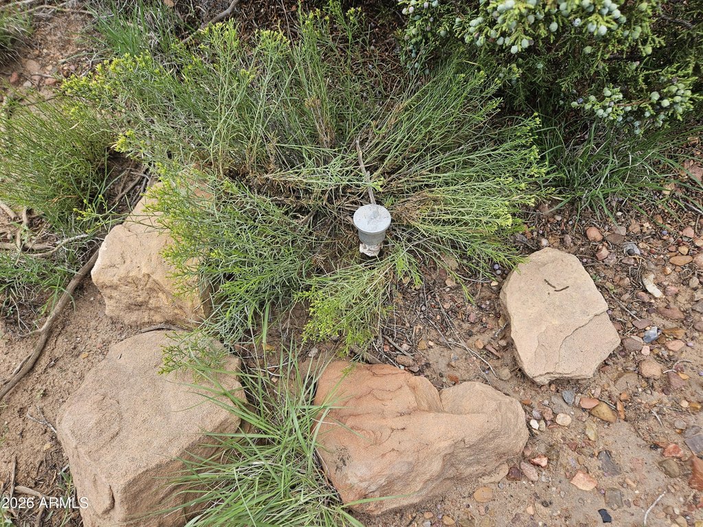 Picture 16