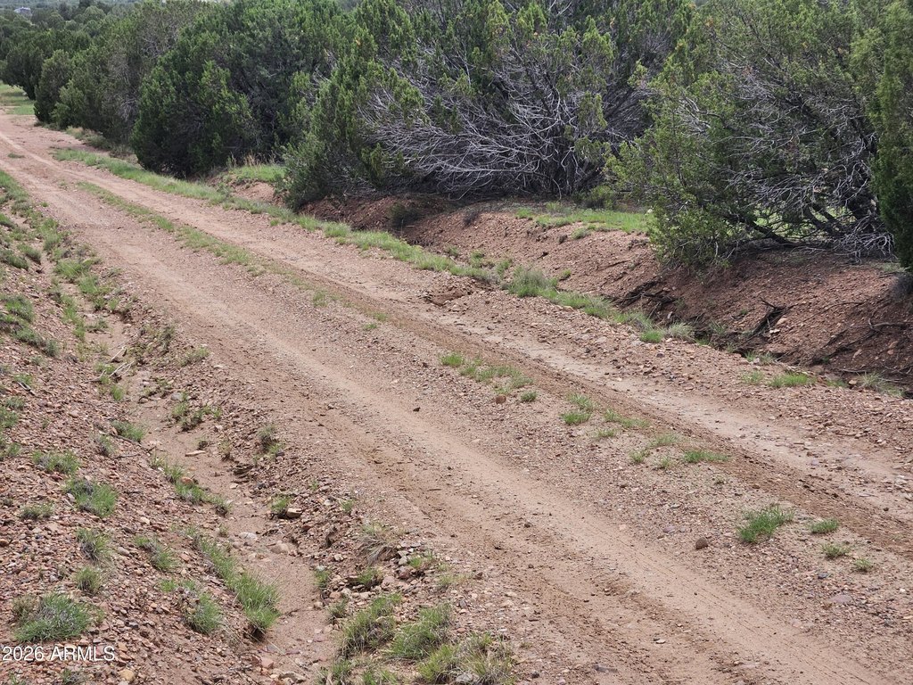Picture 21