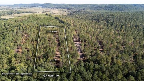 Rydal, GA Mountain View Homesite