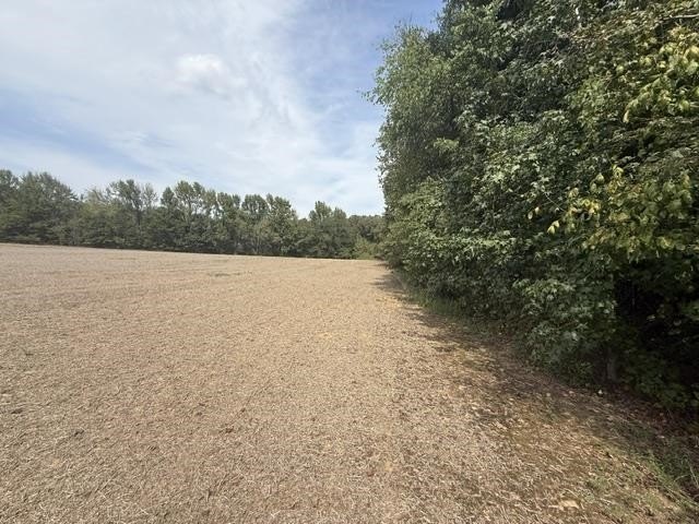 Picture 3