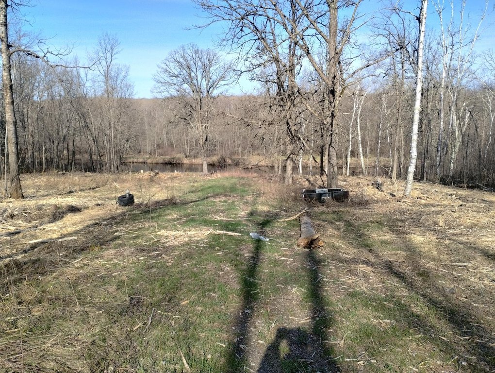 Picture 17