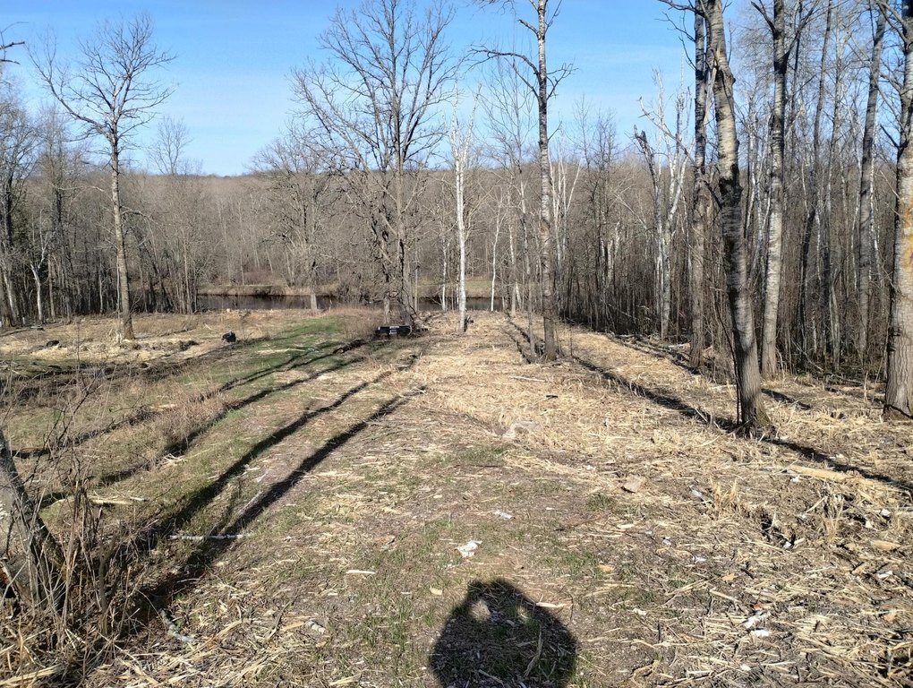 Picture 19