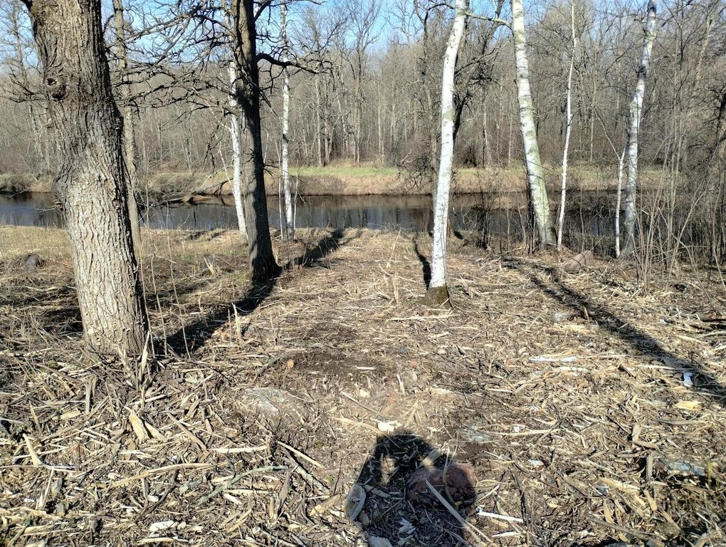 Picture 4