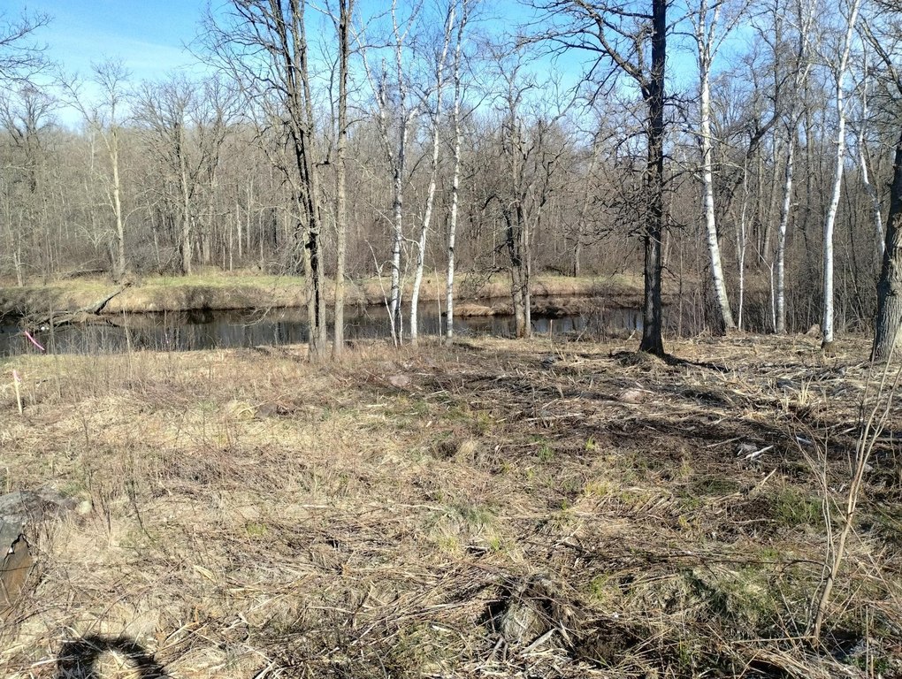 Picture 14