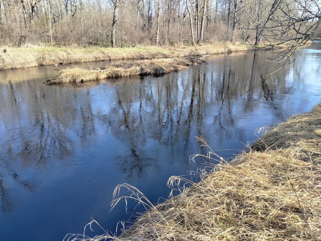 Picture 9