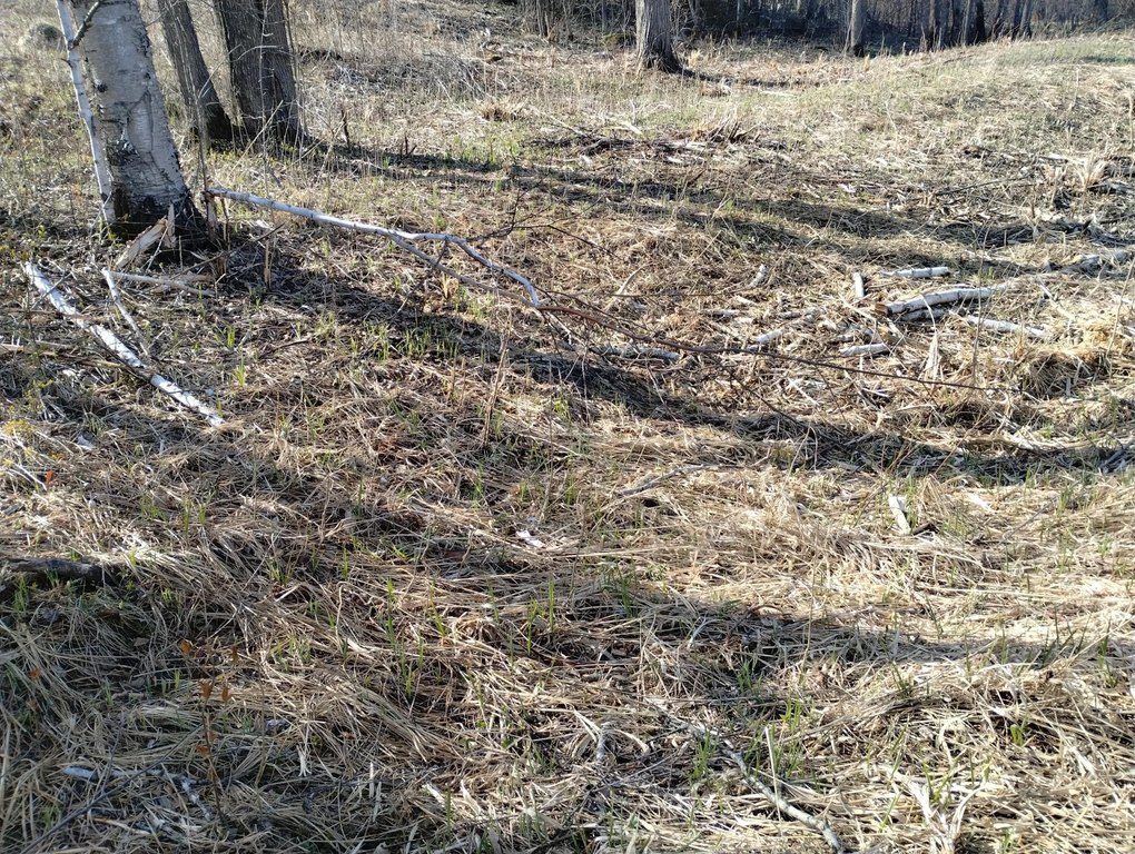 Picture 6