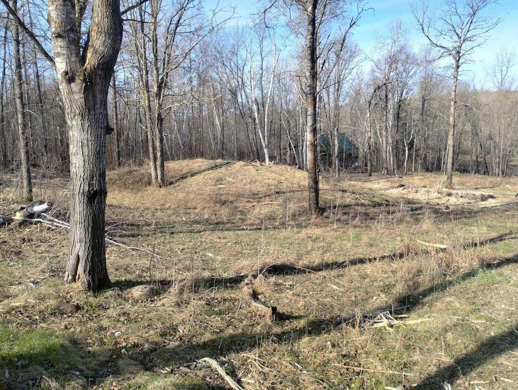 Picture 18