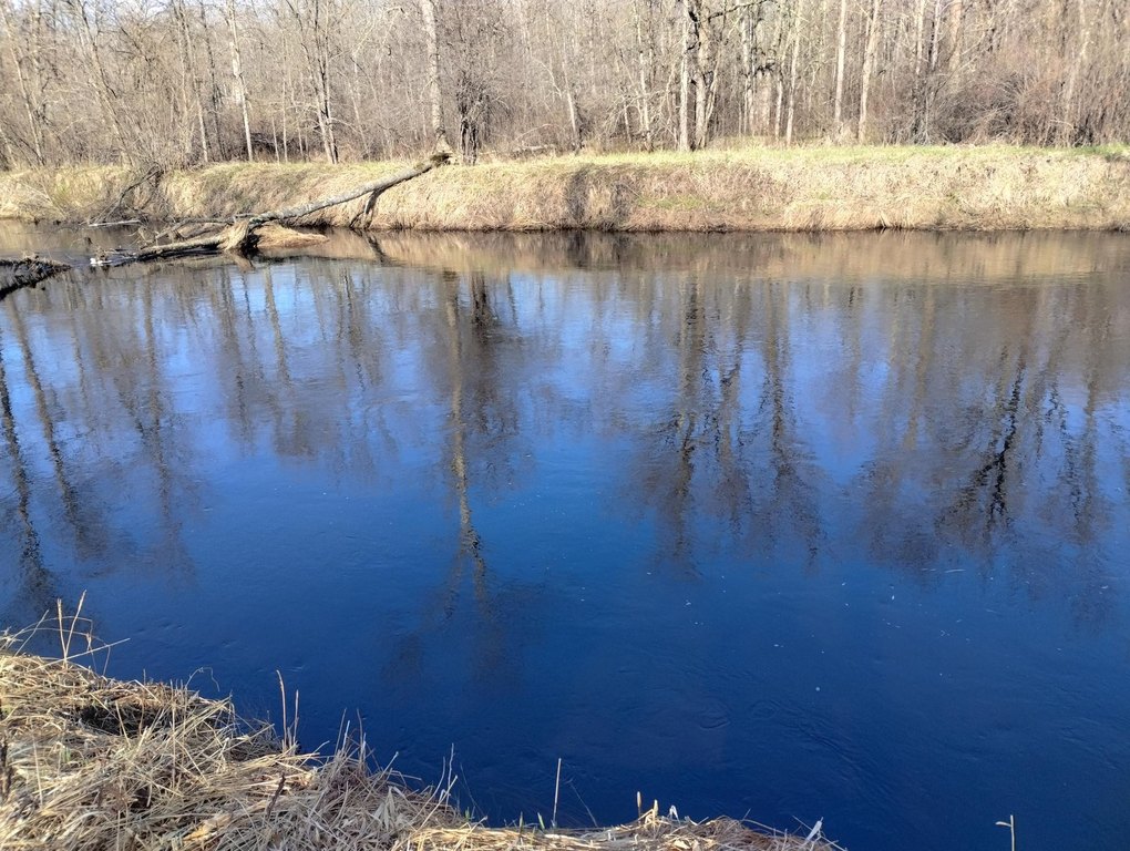 Picture 11