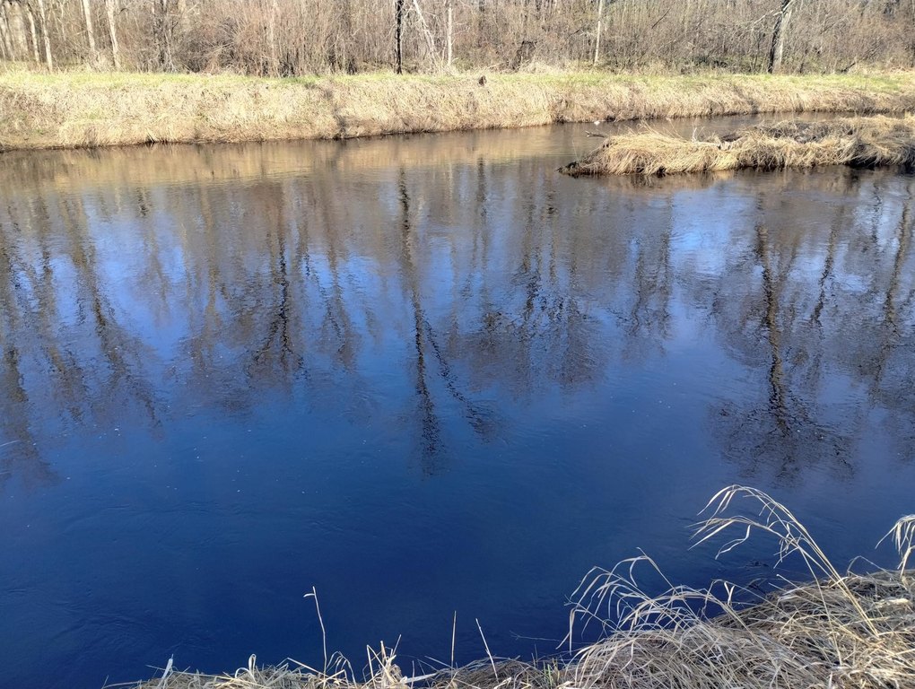 Picture 10