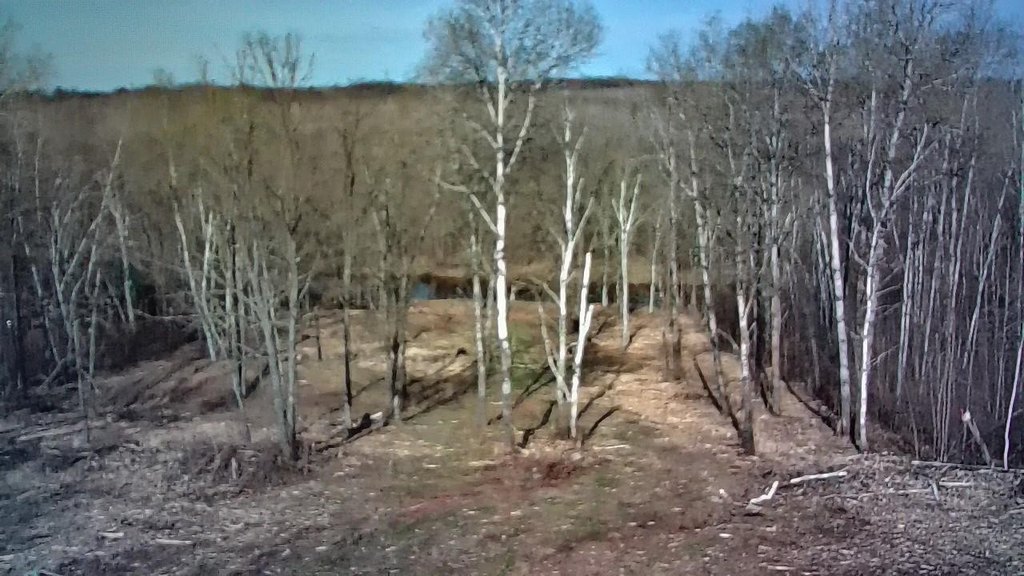 Picture 3