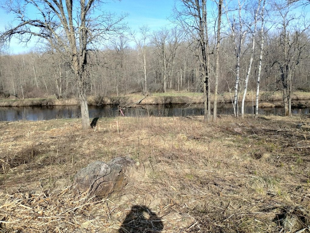 Picture 13