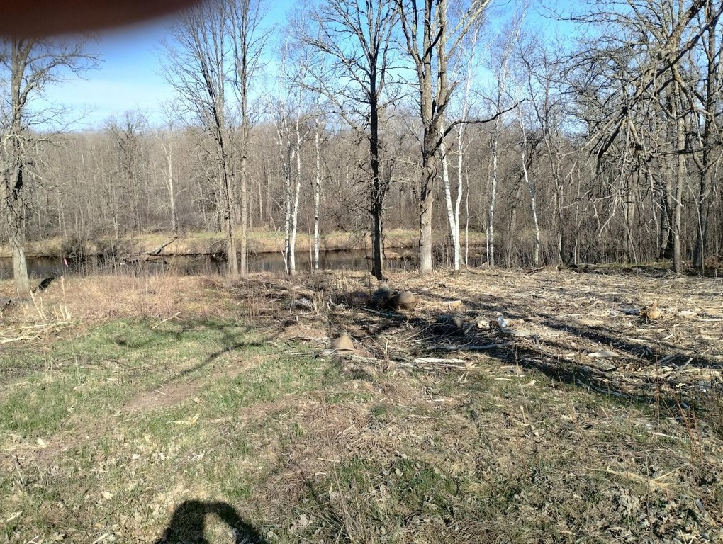 Picture 15