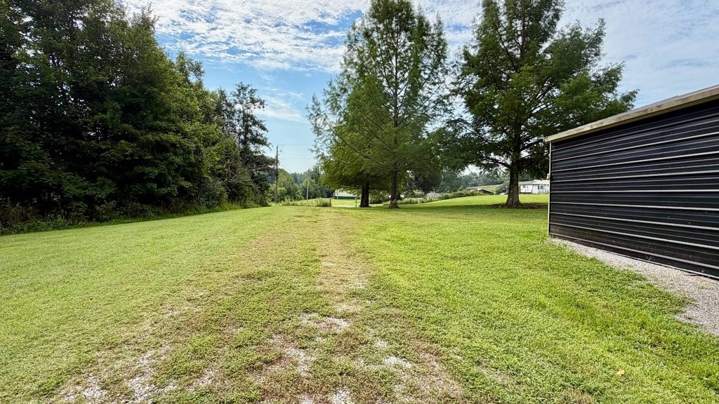 Picture 15