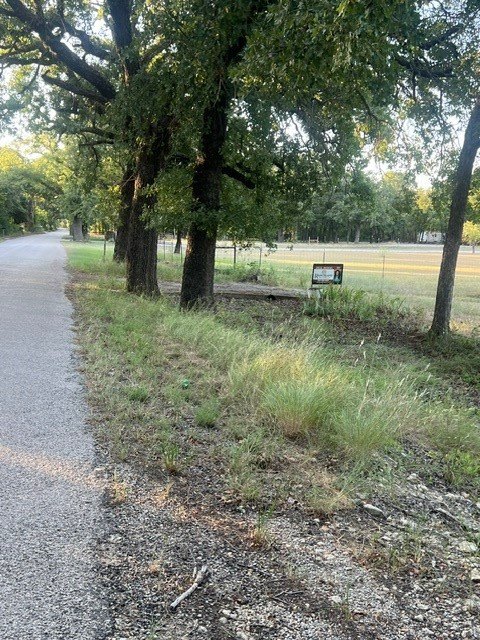 Picture 7
