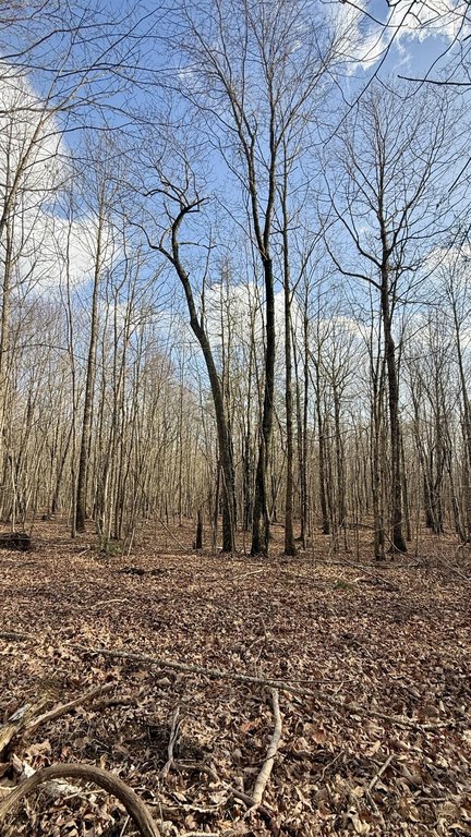 Picture 15