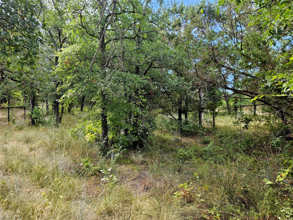 Picture 14