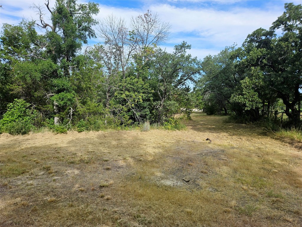 Picture 11