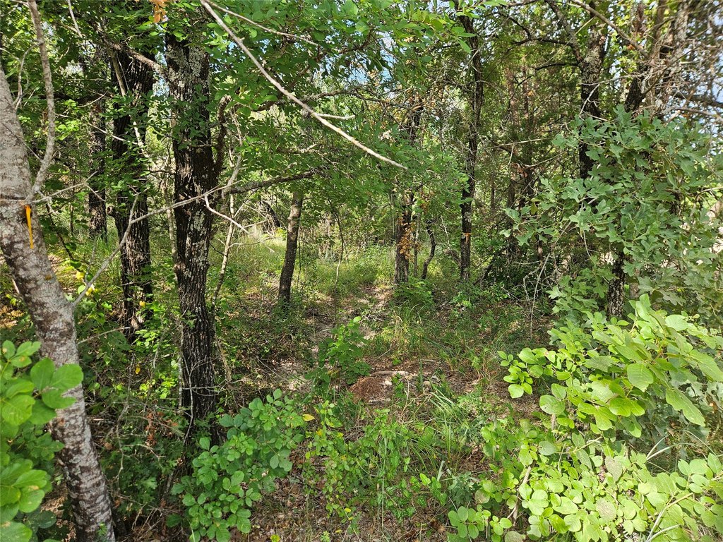 Picture 17