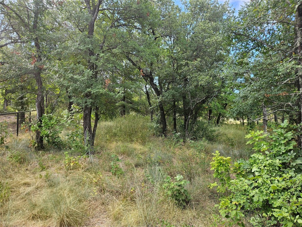 Picture 15