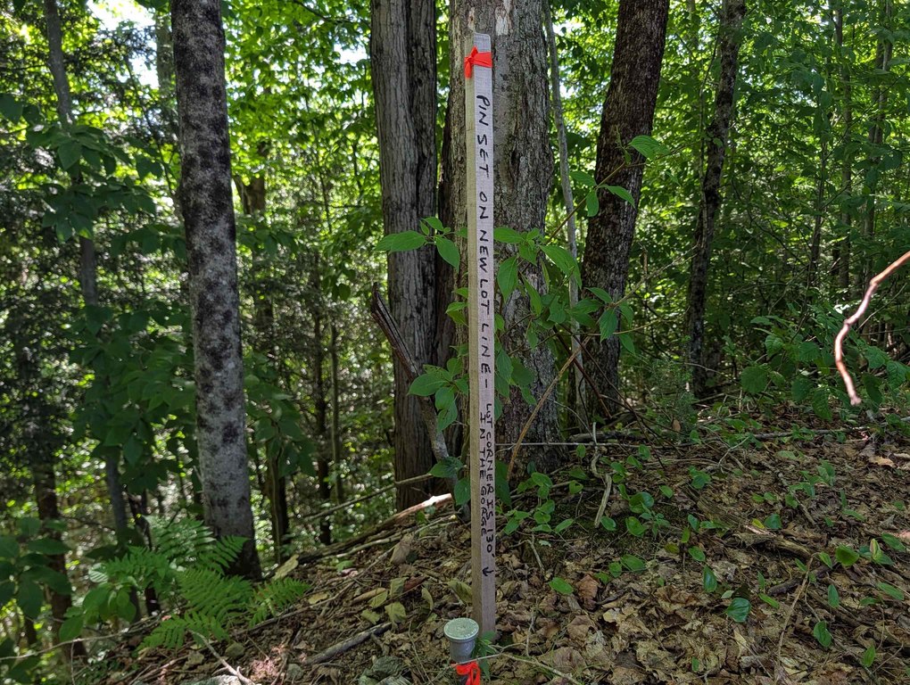 Picture 19