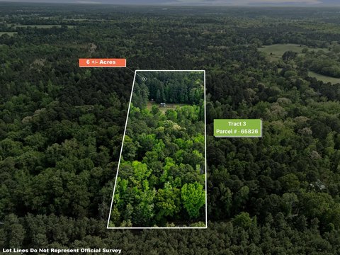 Heavily Wooded Land in Gilmer