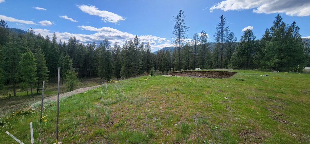 Picture 7