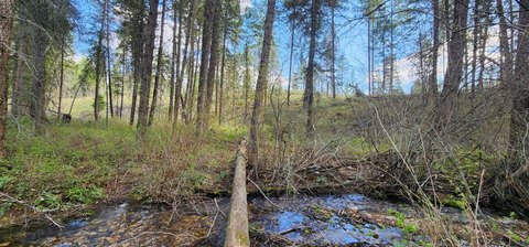 Land with Creek Near Colville