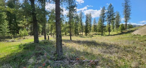 Land with Creek Near Colville
