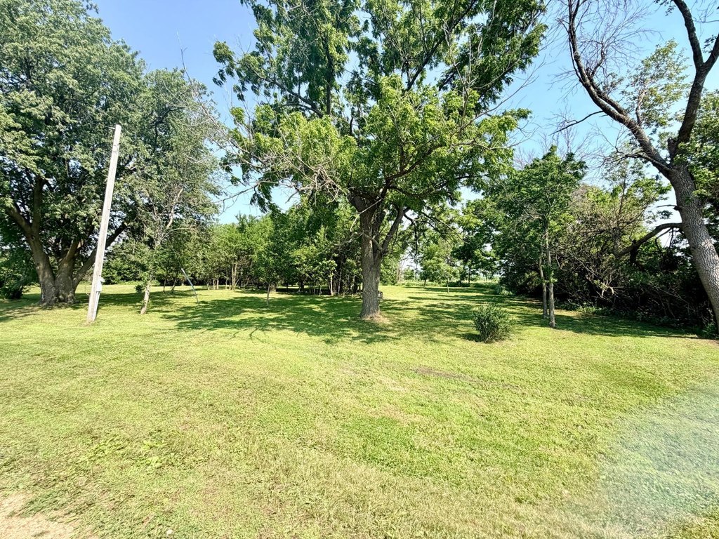 Picture 8