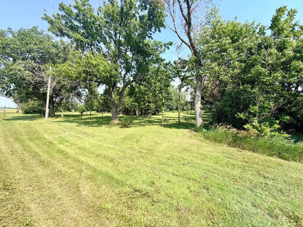 Picture 9