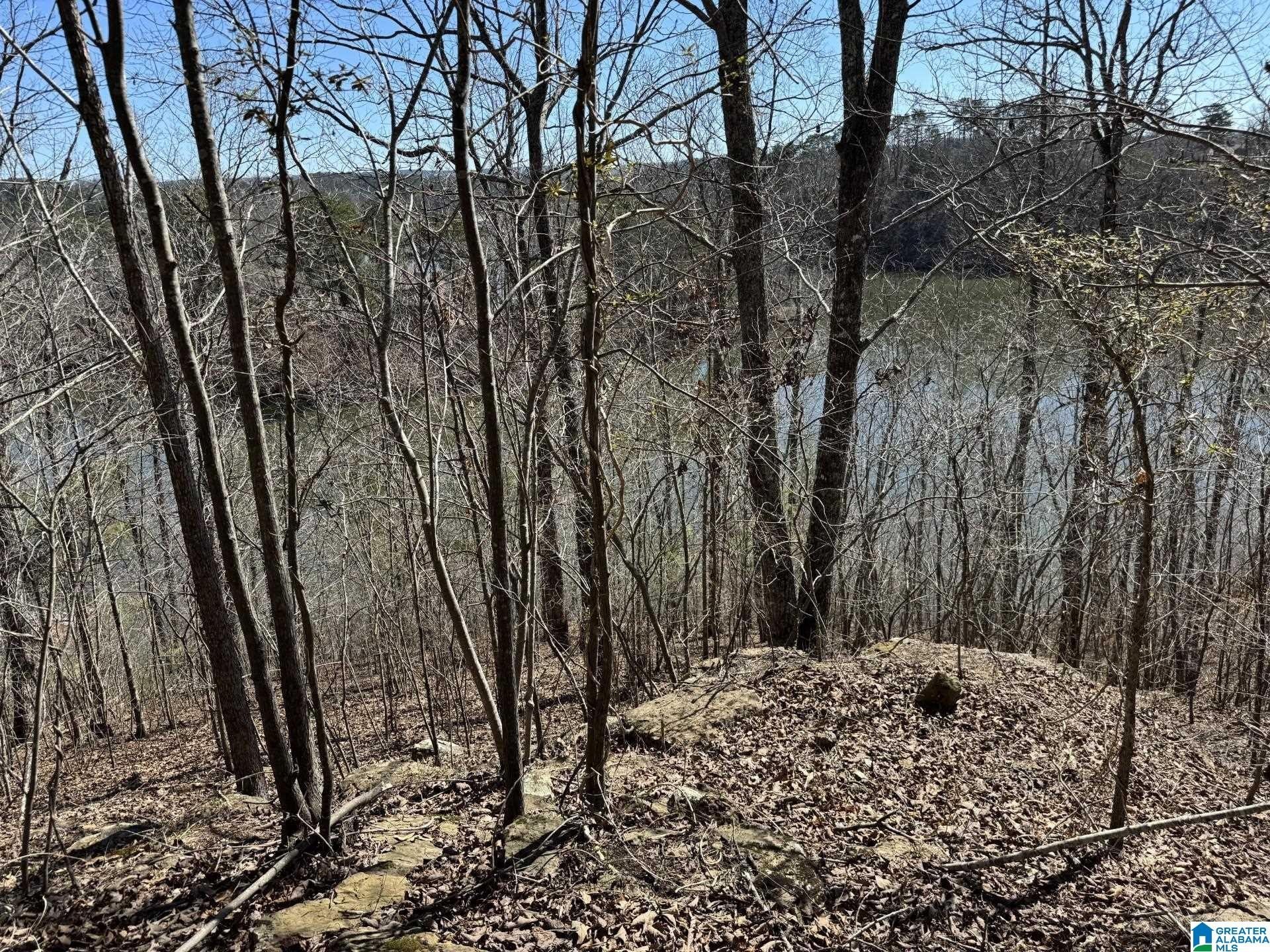Residential Lot Near Highland Lake