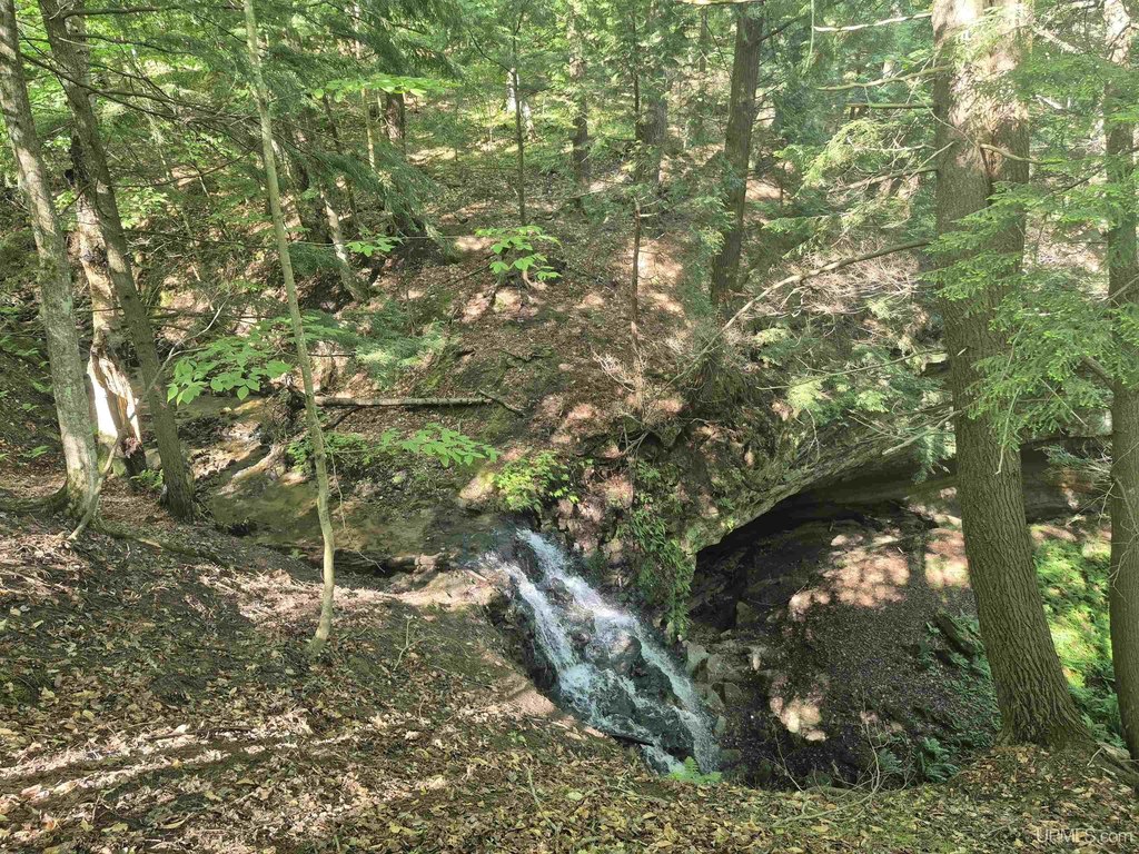 Picture 17