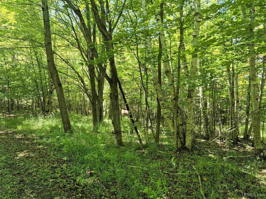 Picture 9