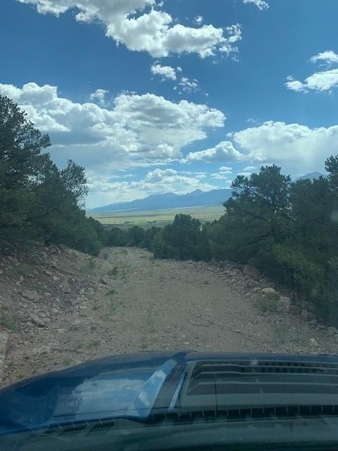 Picture 23