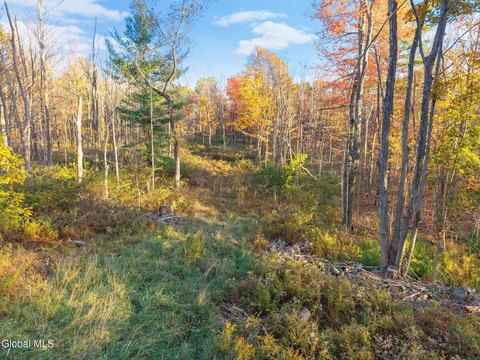 Grafton NY Vacant Wooded Land