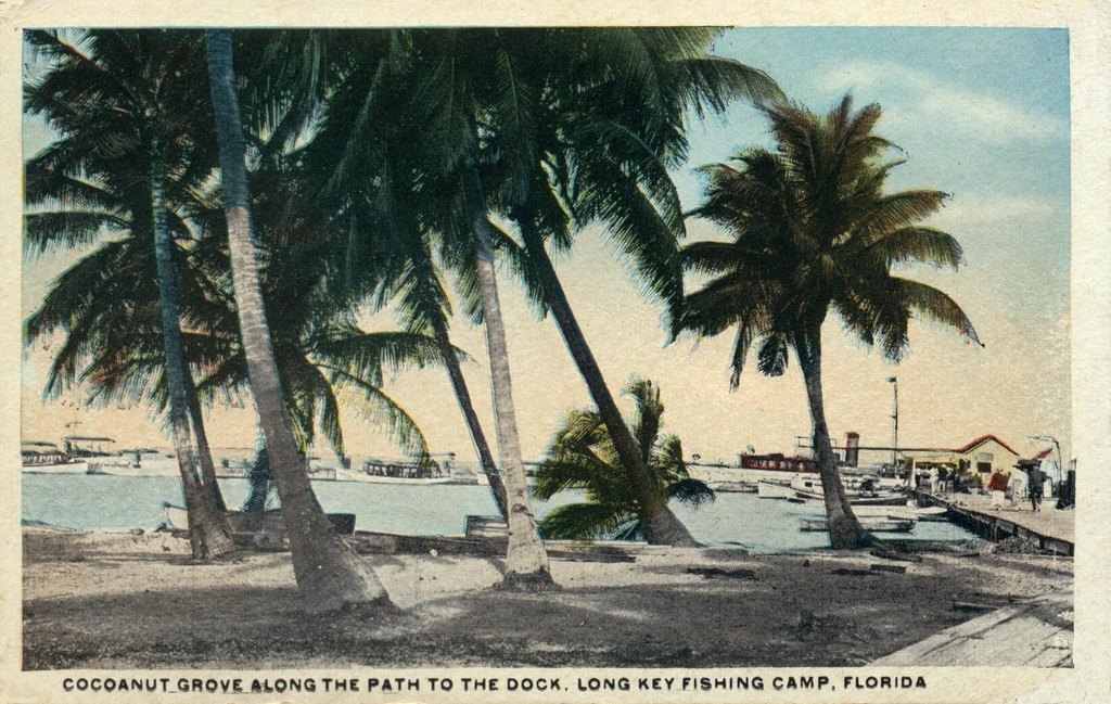Picture 65