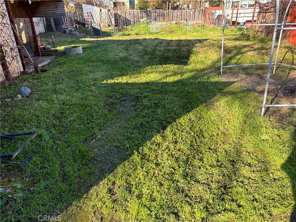 Picture 15