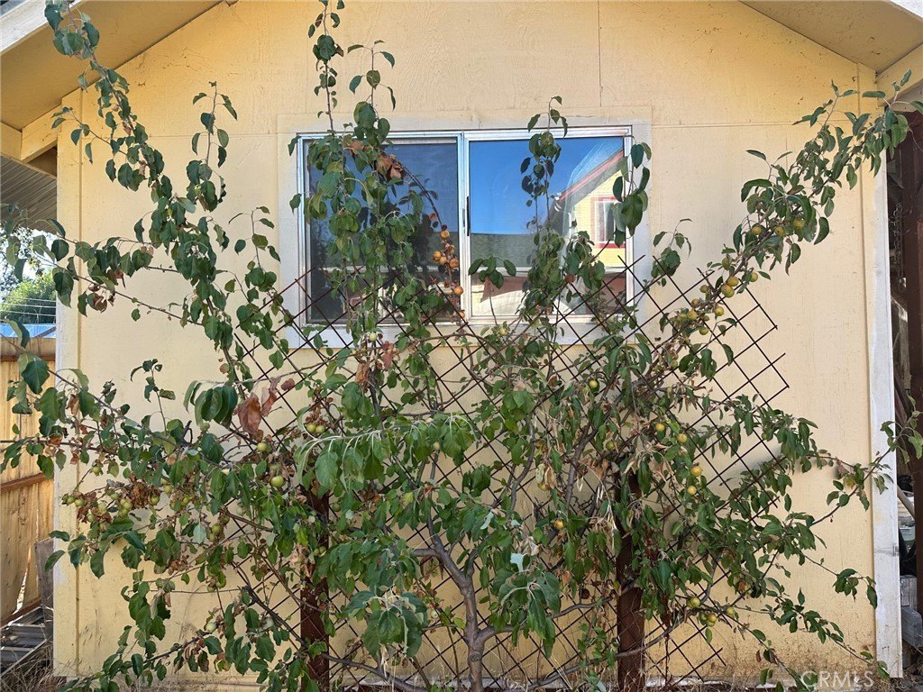 Picture 22