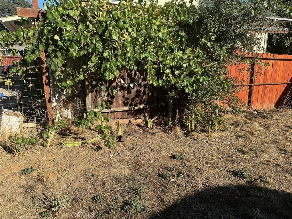 Picture 27