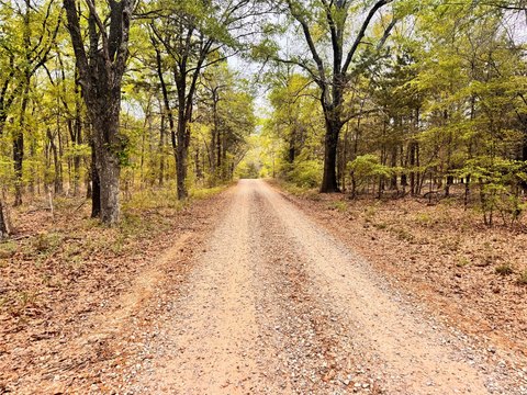 Secluded Wooded Hunting Tract