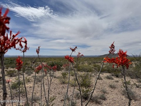 LAND - Las Cruces, NM