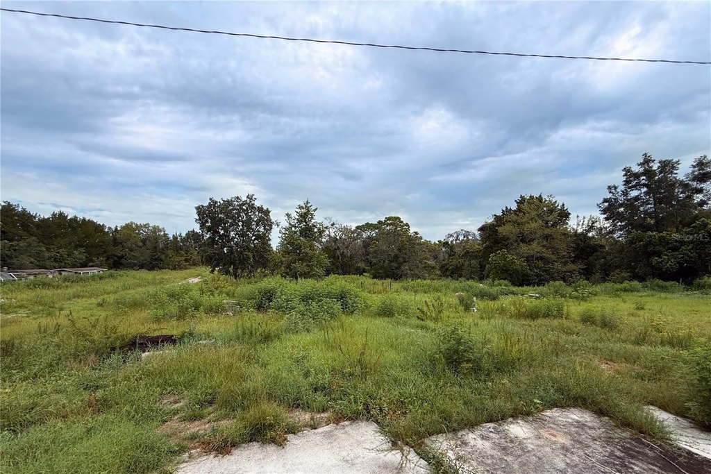 Picture 4