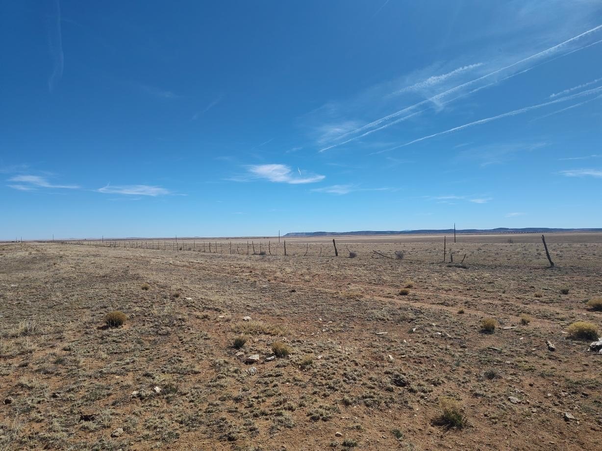 Mountainair Land with Development Potential