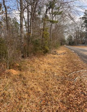 Land with Timber and Wildlife