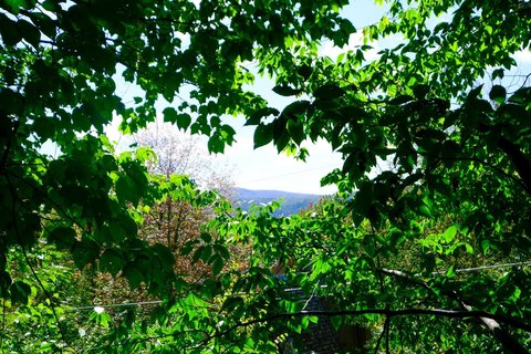 LAND - Plymouth, VT