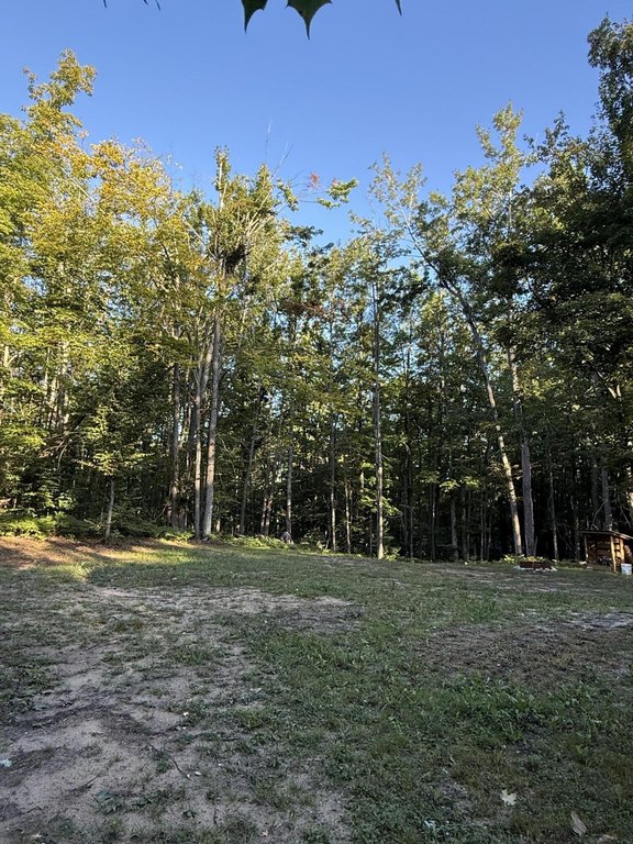 Picture 19