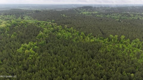 Lauderdale County Land For Sale